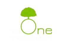 The One Asset Management